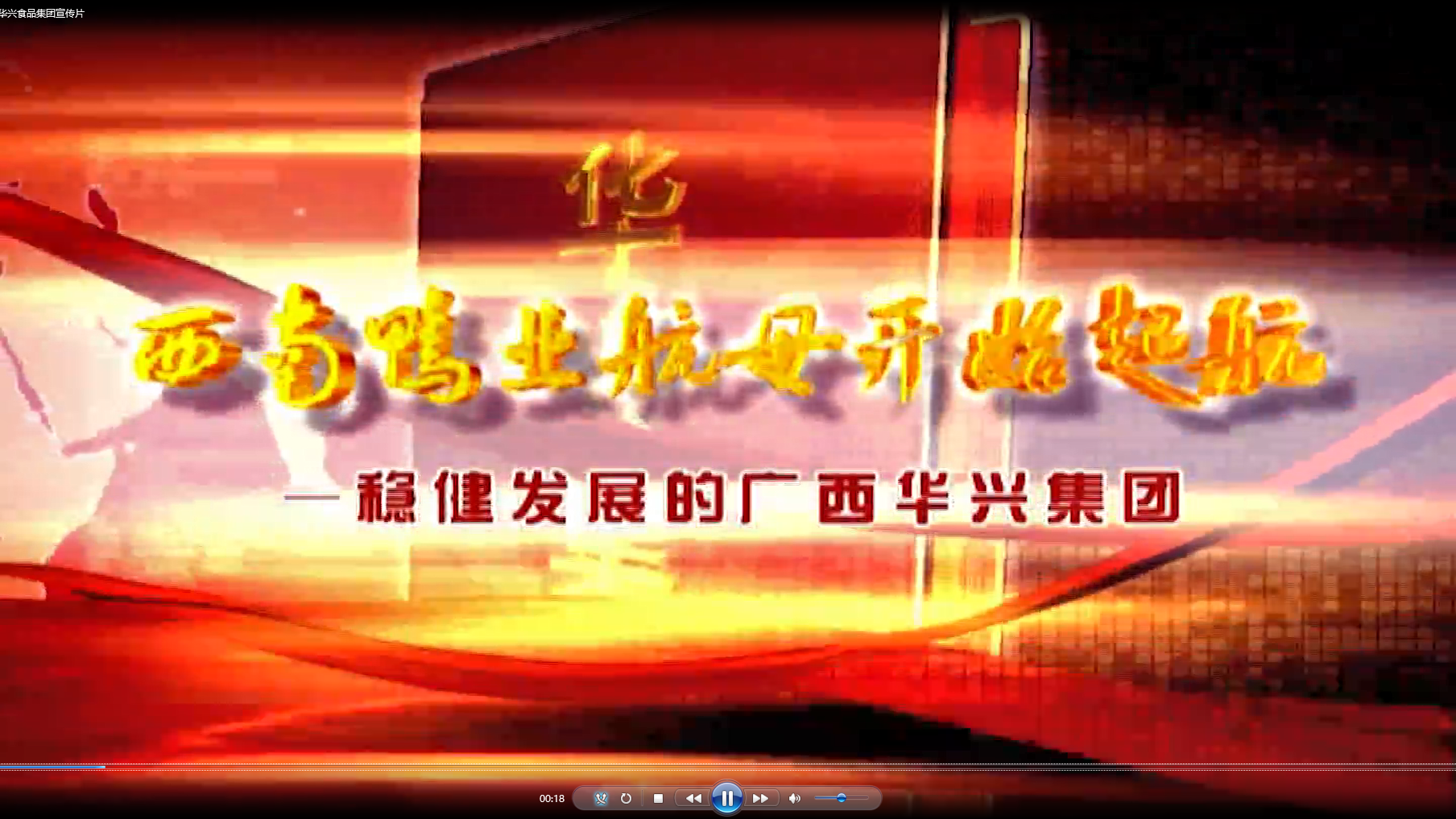 廣西華興食品集團宣傳片